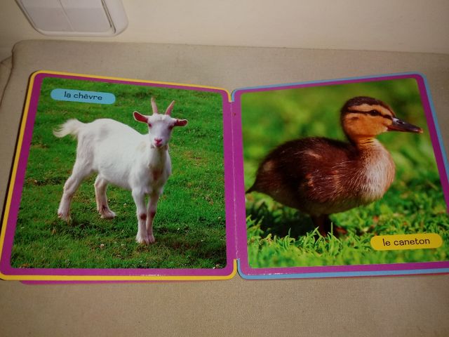 libro les animaux en francés