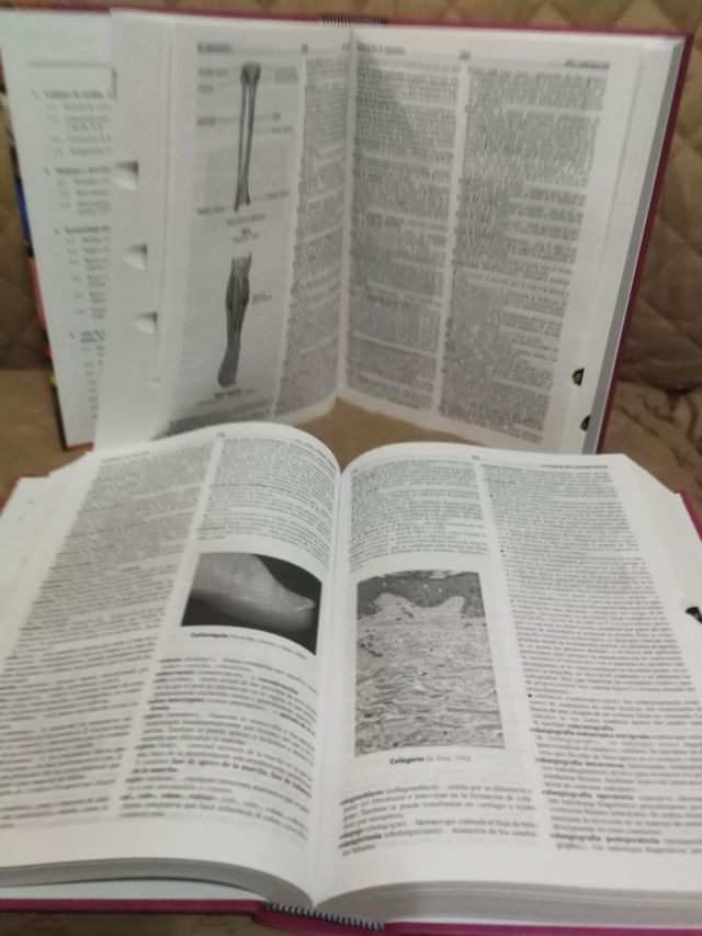 DICCIONARIO MOSBY VOLUMEN I y II totalmente NUEVOS