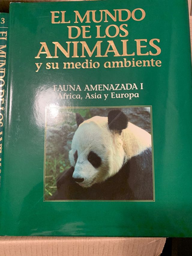 El mundo de los animales