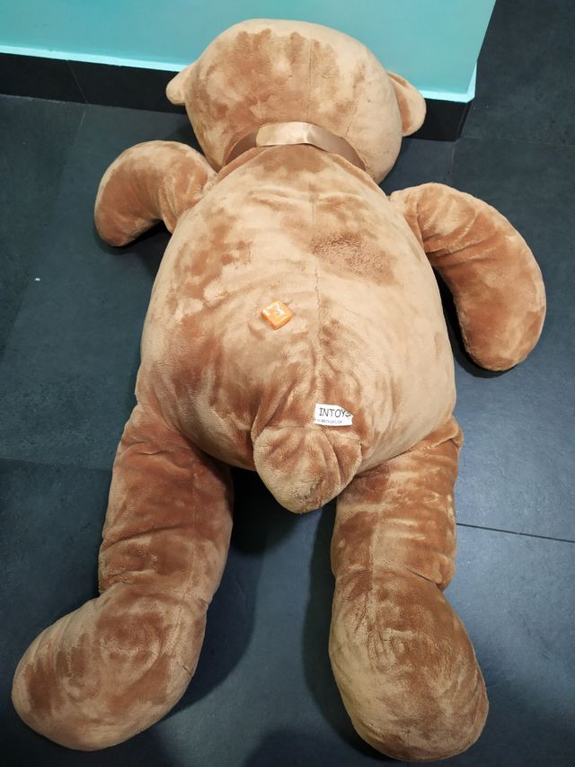 Peluche/Oso