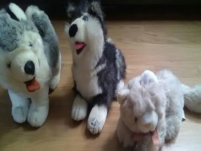 Conjunto peluches de animales