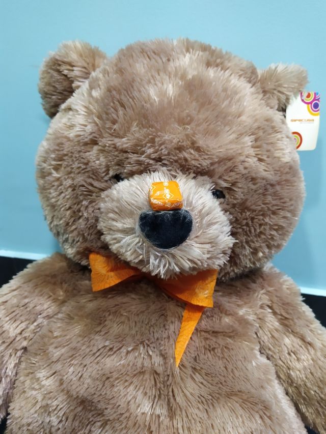 Peluche con etiqueta/Oso
