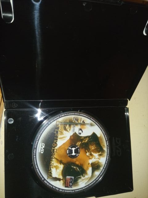 DVD LA LETRA ESCARLATA