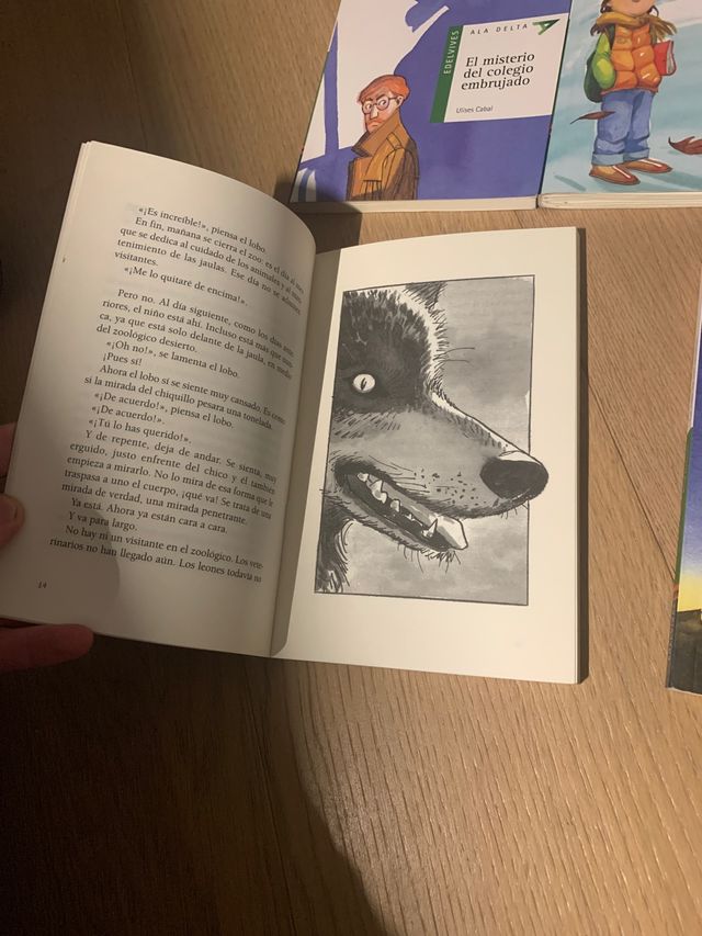 Libros edelvives y baula