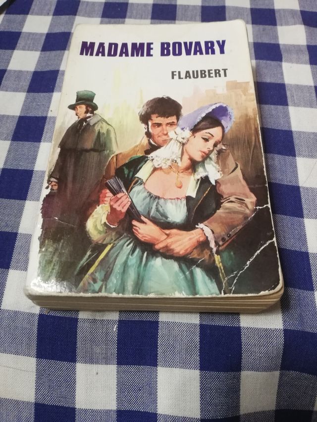 libro madame bovary