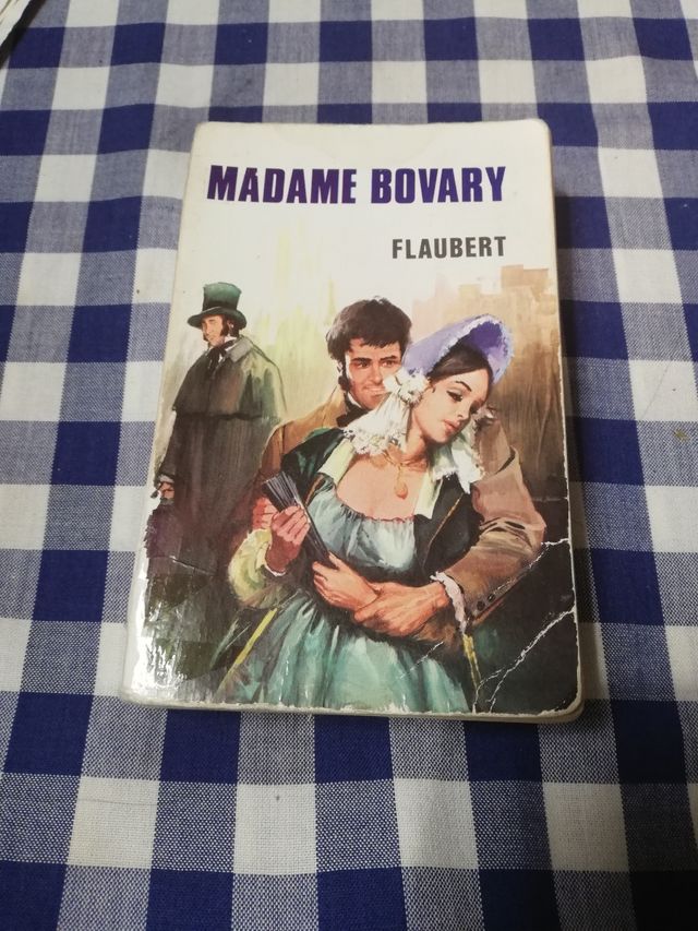 libro madame bovary