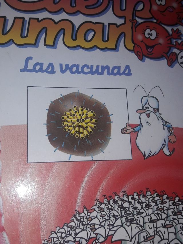 ERASE UNA VEZ EL CUERPO HUMANO VOL.24