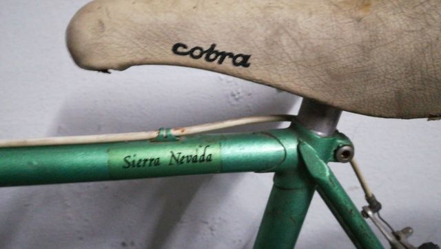 Orbea sierra nevada