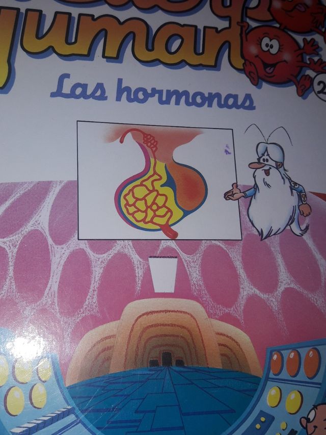 ERASE UNA VEZ EL CUERPO HUMANO VOL.25