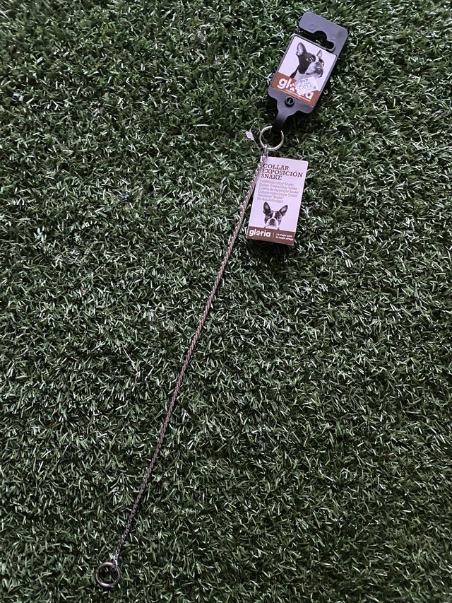 Collar de exposición, acero, nuevo a estrenar