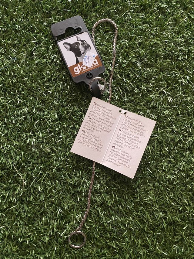 Collar de exposición, acero, nuevo a estrenar