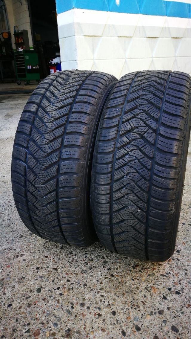 neumáticos para todo el año (todo tiempo)