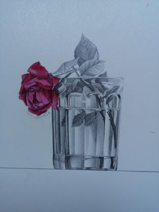 Dibujo a lápiz rosa en vaso de Julio Galan 1975