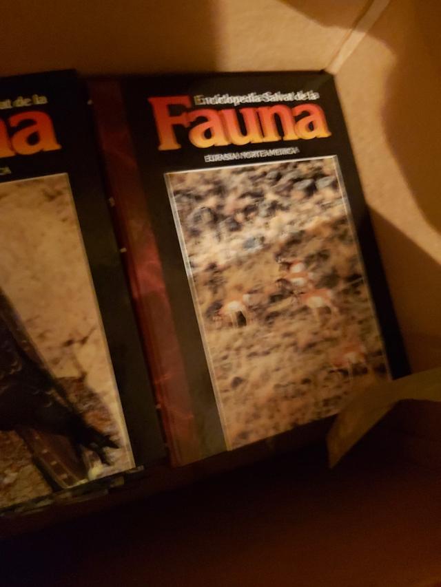 enciclopedia salvat Fauna