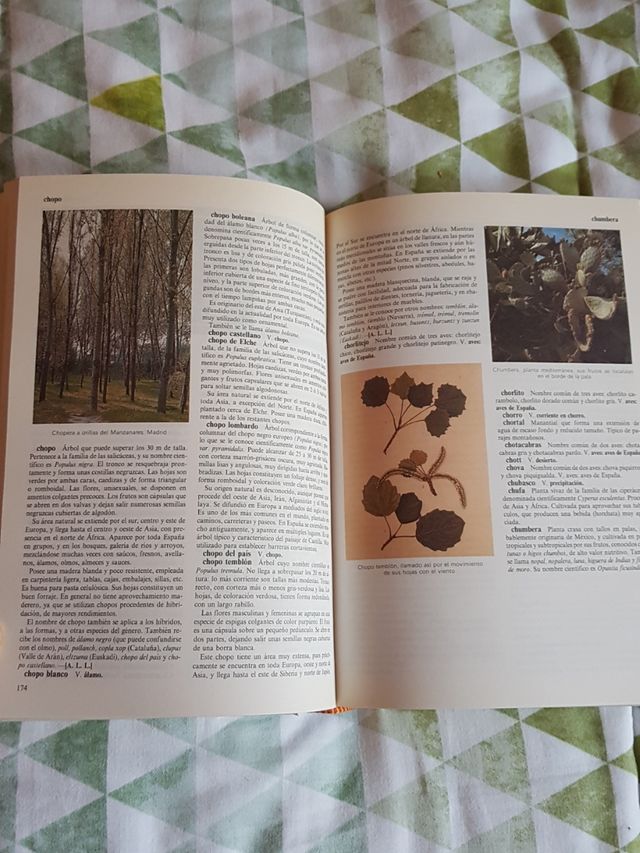 Diccionario de la Naturaleza