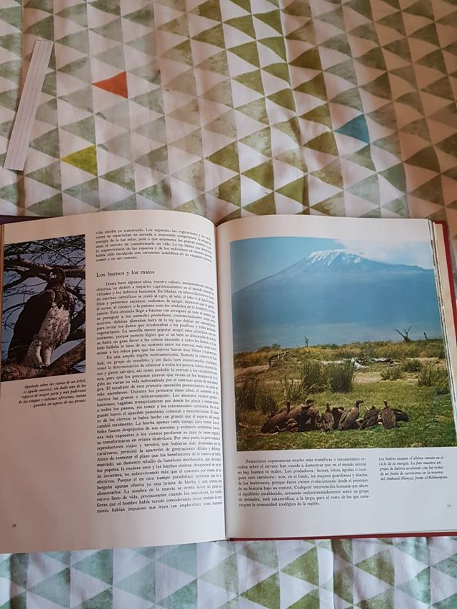 Fauna Africa Enciclopedia Salvat