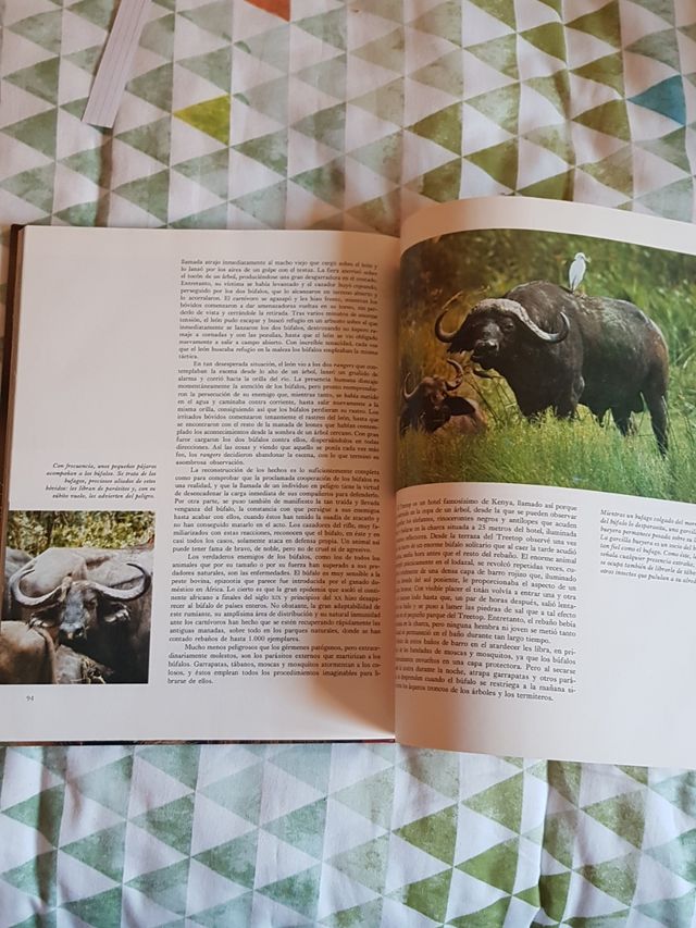 Fauna Africa Enciclopedia Salvat