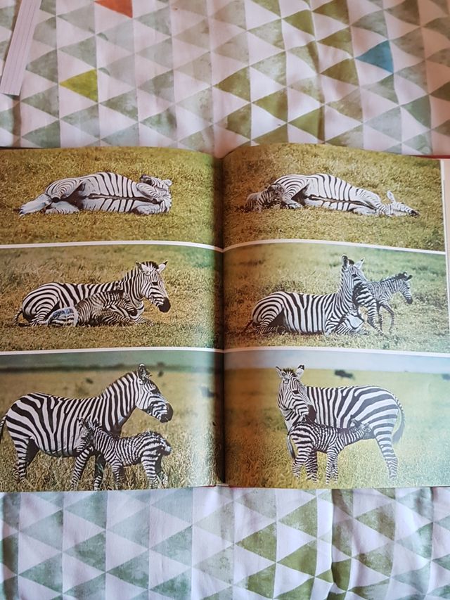 Fauna Africa Enciclopedia Salvat