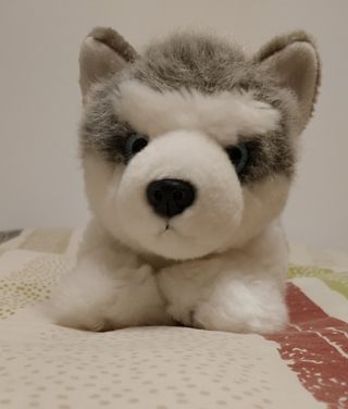 husky peluche ikea