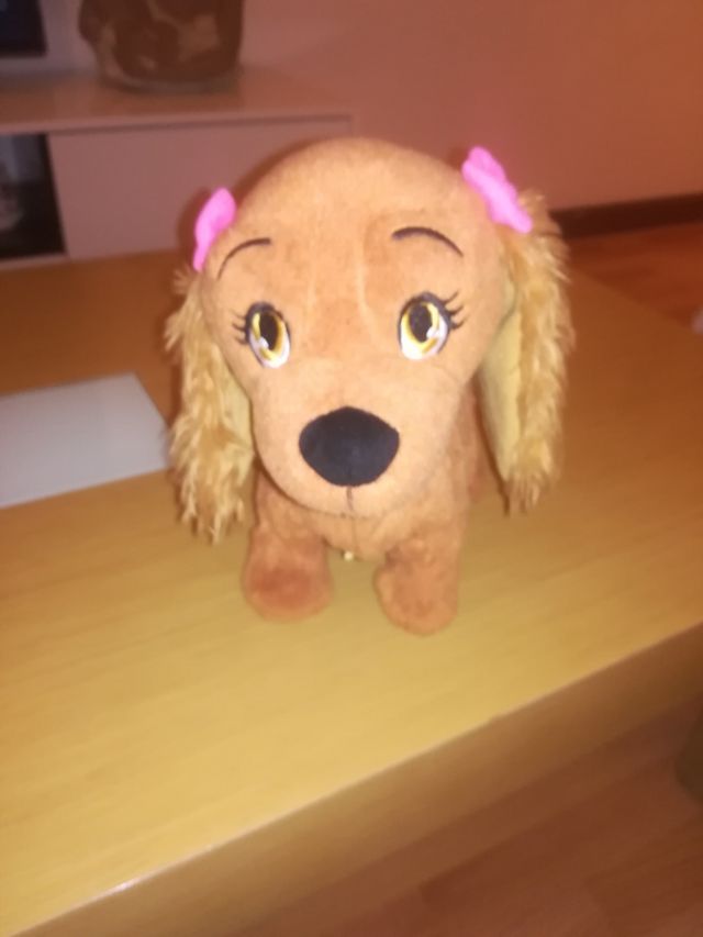 Lucy perrita,  hace las funciones