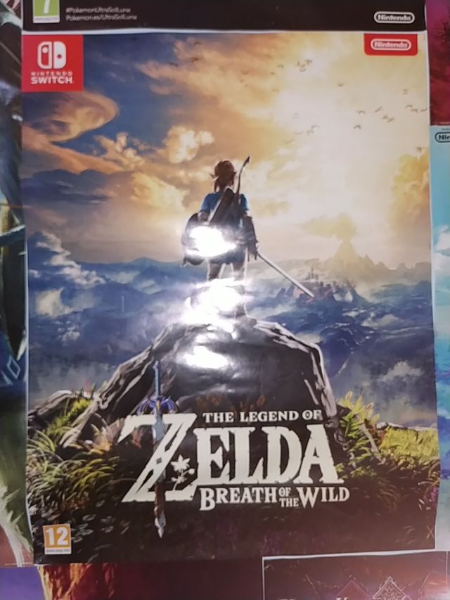 Poster reversibile di Zelda e Pokémon