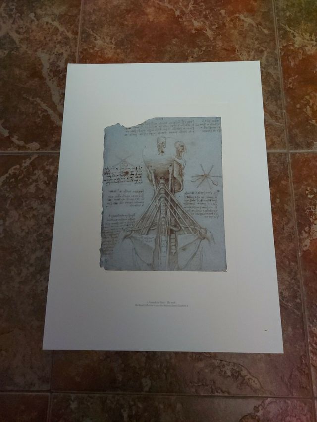 Lamina de Leonardo da Vinci