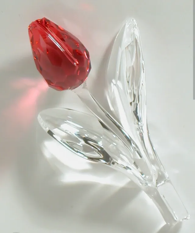 Swarovski SCS Renovacion Tulipan ROSA