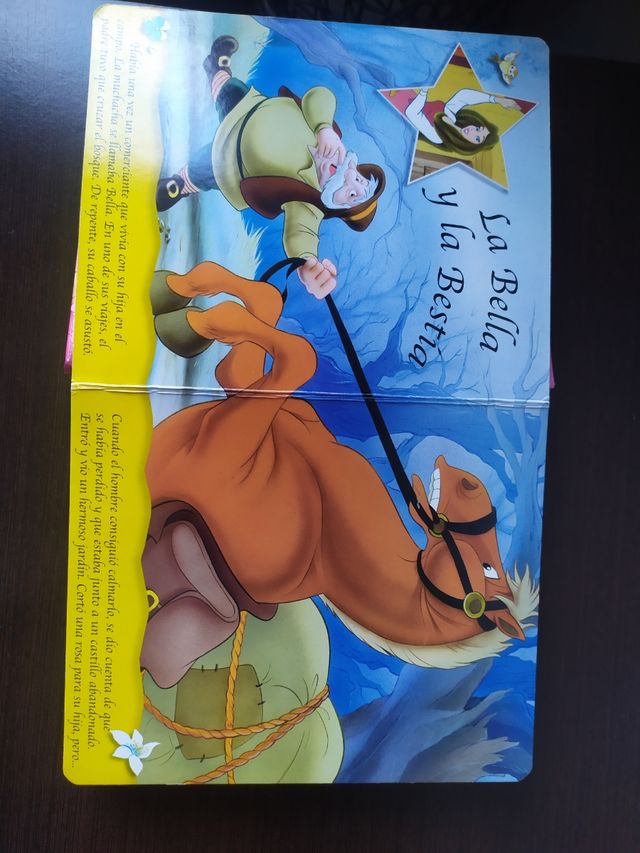 Libro + CD princesas Disney