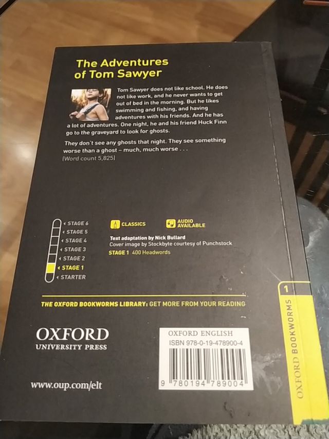 Te Aventures if Tom Sawyer