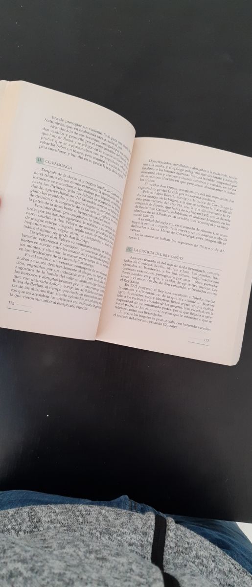 Ortografía práctica de la lengua española