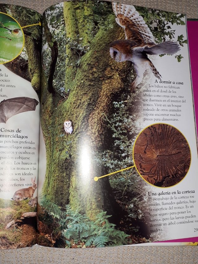 LAS PLANTAS. PEARSON REBAJADO