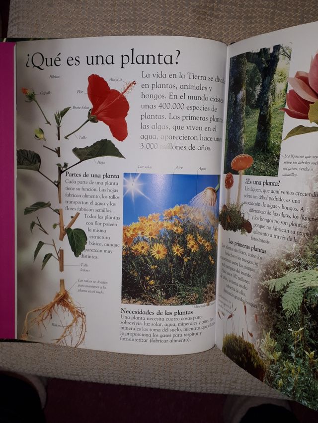 LAS PLANTAS. PEARSON REBAJADO