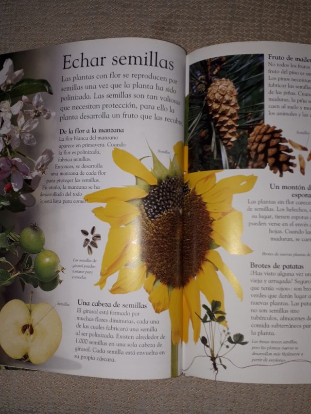 LAS PLANTAS. PEARSON REBAJADO