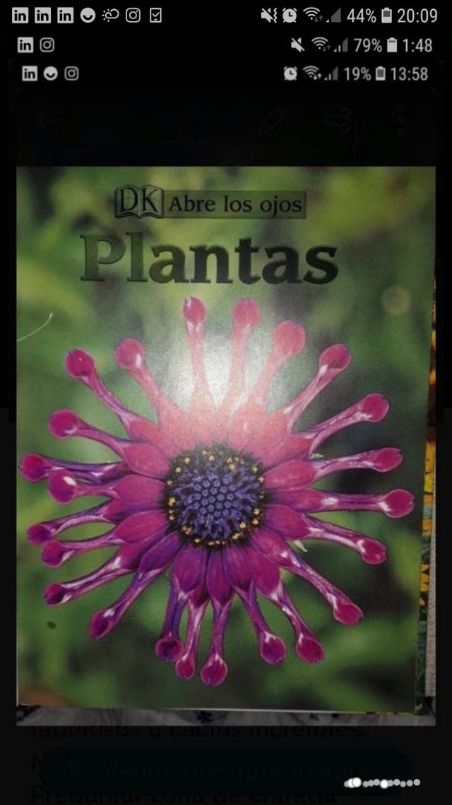 LAS PLANTAS. PEARSON REBAJADO