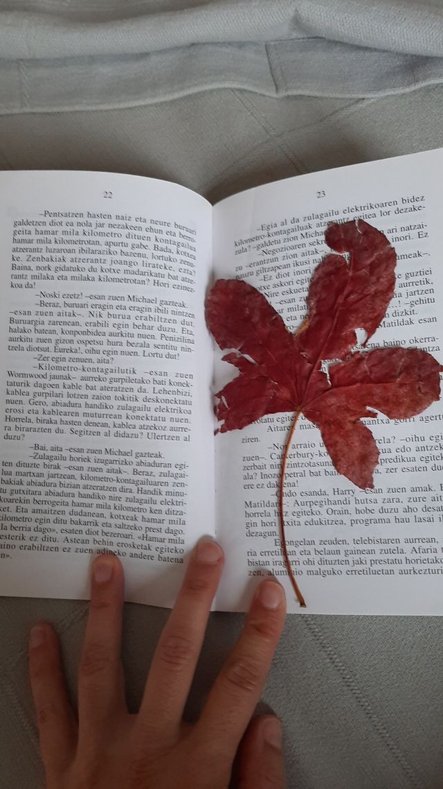 libros;"Matilda y kutsidazu bidea, Ixabel!!!