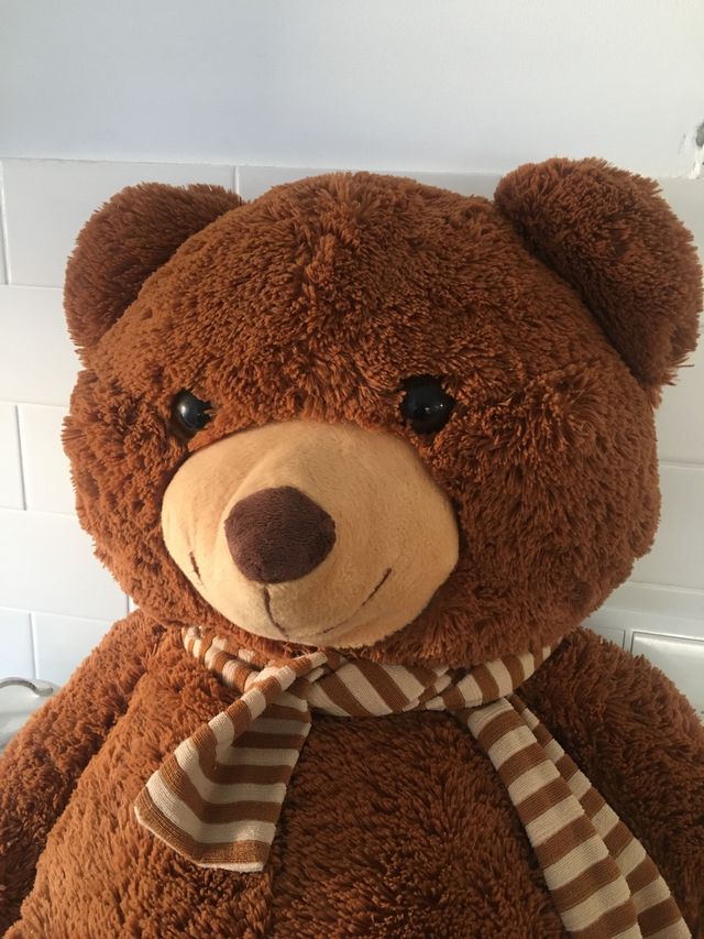 Oso XXL peluche