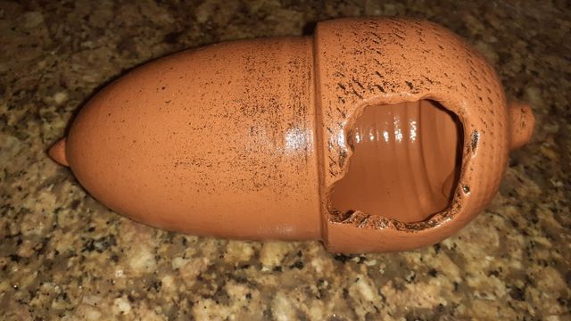 Bellota para acuario