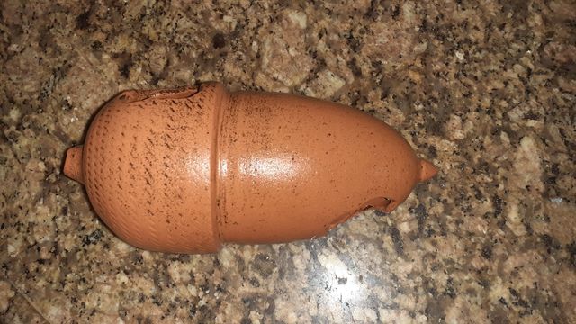 Bellota para acuario