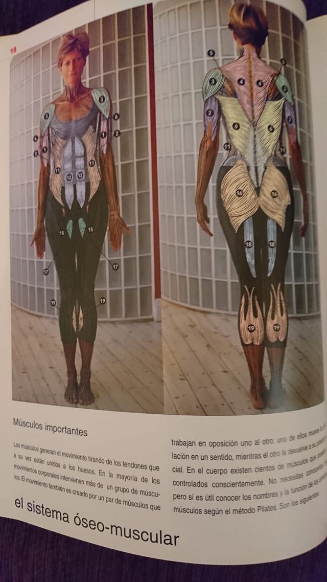 IL METODO PILATES. TREVOR BLOUNT, ELEANOR MCKENZIE