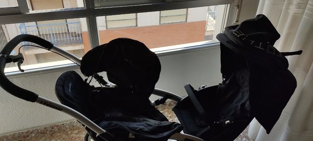 Carricoche mellicero