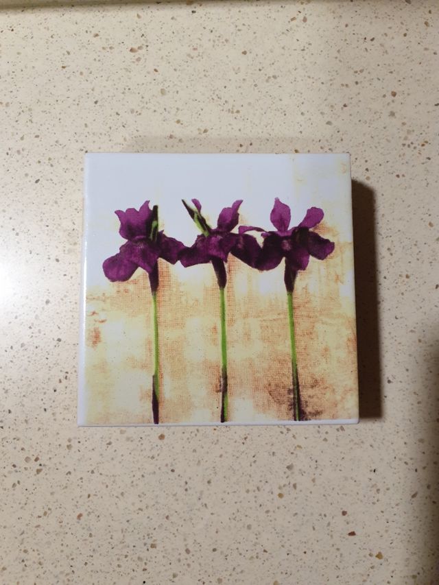 Set 5 posavasos cerámica