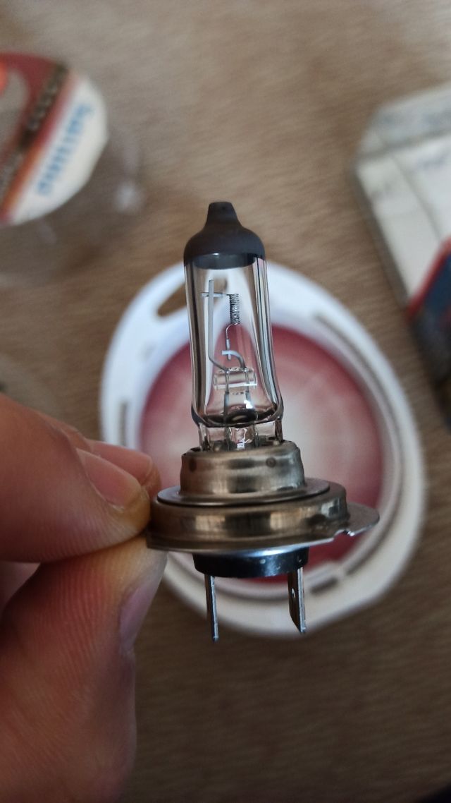 Bombillas H7 coche