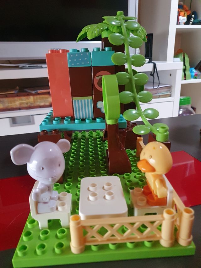 Casa del arbol Imaginarium