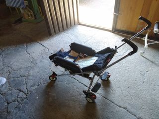 Carrito Jane De Segunda Mano En Toledo En Wallapop