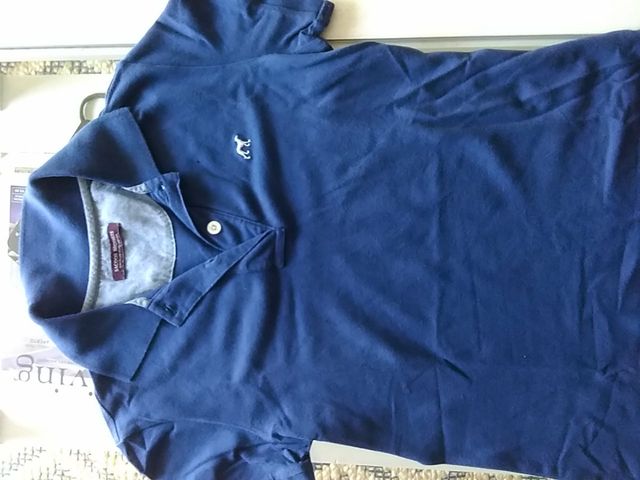 polo saccor brothers niñ@ M