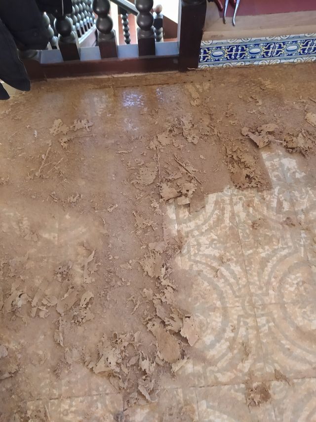 Pulido de hidráulico