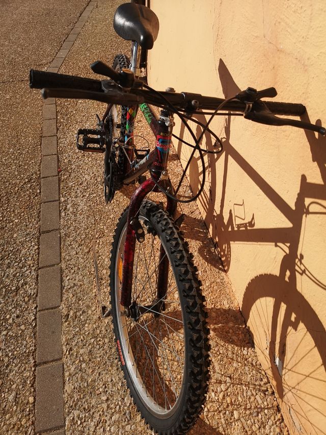 Bicicleta MTB 24 ' junior, recién puesta a punto.