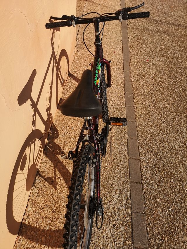 Bicicleta MTB 24 ' junior, recién puesta a punto.