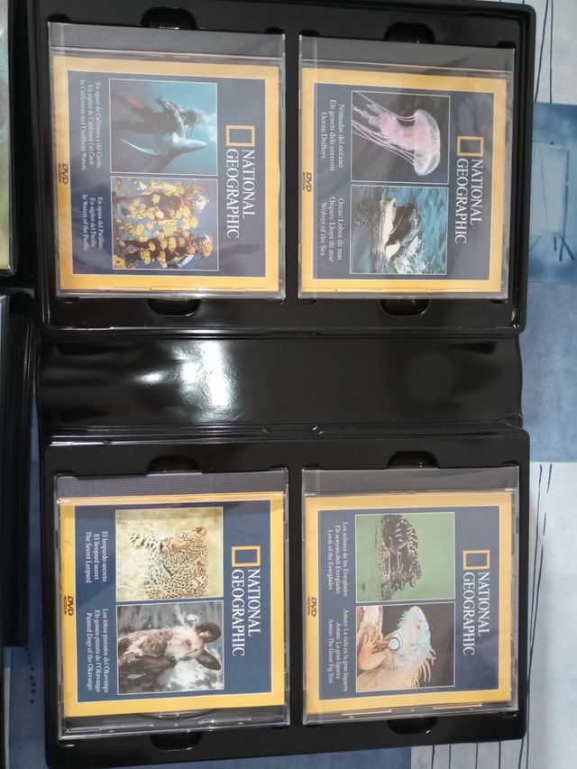 DVD animales national geographic