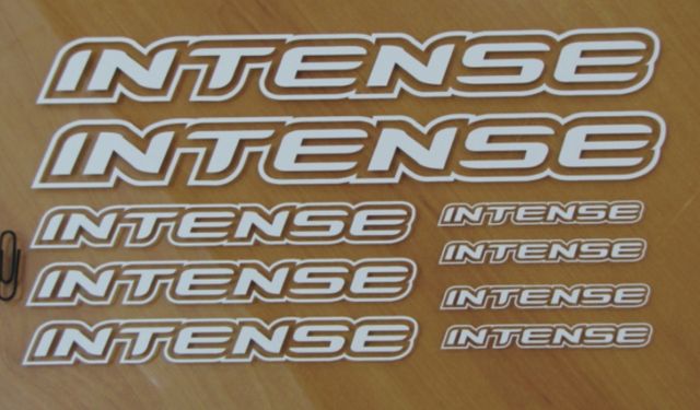 PEGATINA VINILO STICKER BICI INTENSE